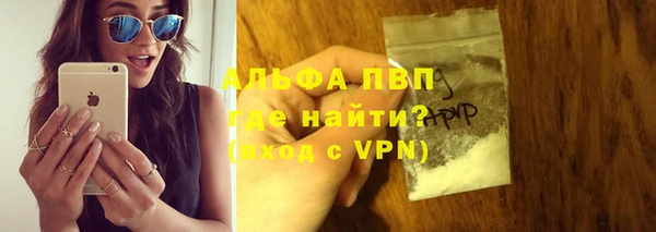 дживик Касимов