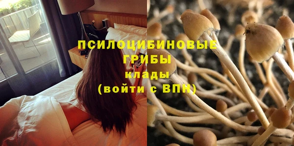 каннабис Инсар