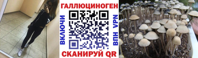 Псилоцибиновые грибы мухоморы  Купить  Дно 
